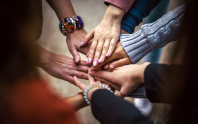 Home 7 Email List Community Building: From Subscribers to Community Leaders, The Duplication Model 2026 (Build Your Movement)