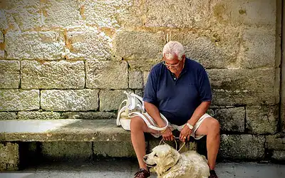 Home 7 How To Perform Setting Up a Blog for Google Indexing and Start Earning Online In 2026 (Retirees Edition)