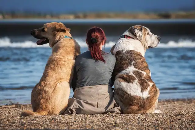 building trust with your blog audience